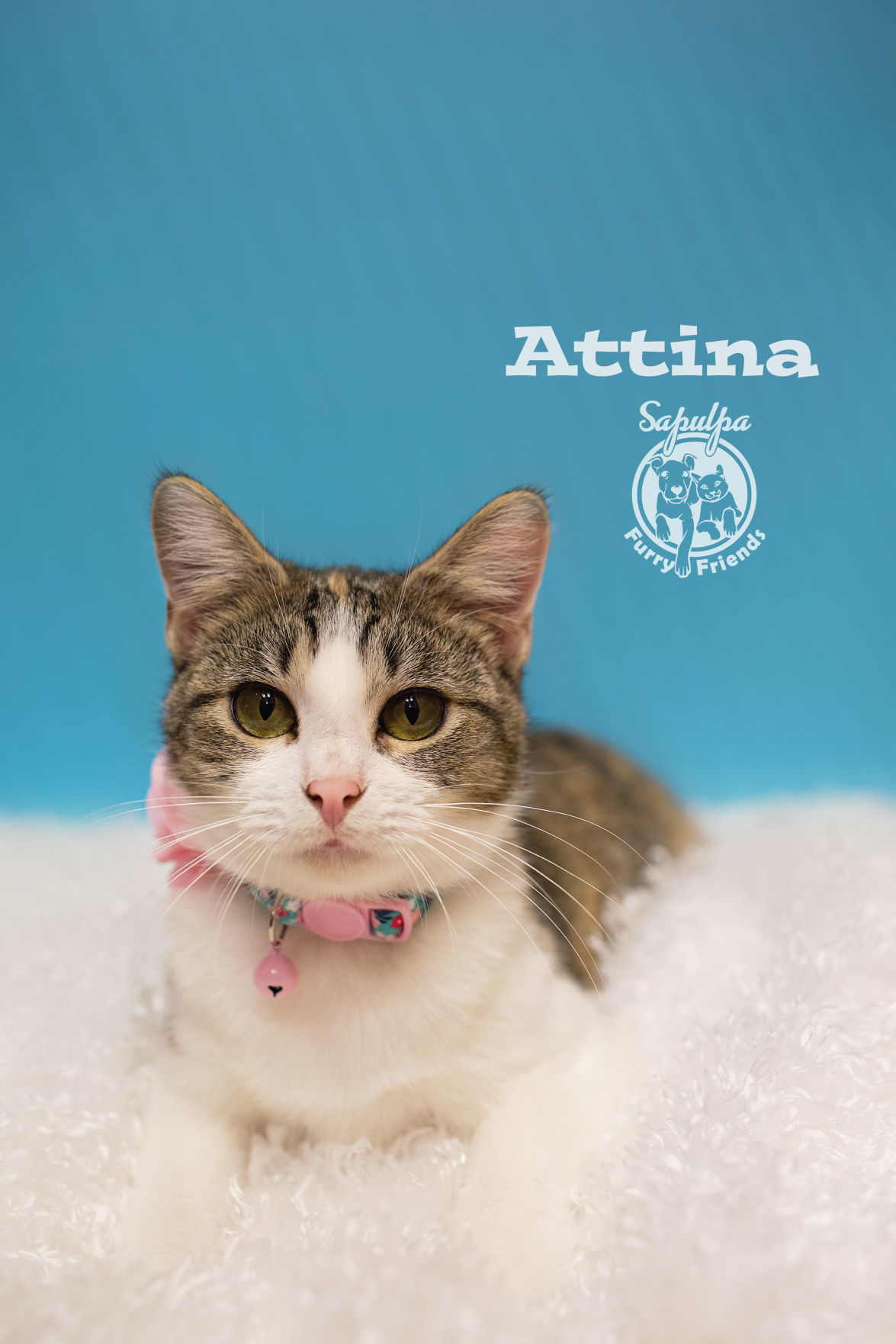 Attina